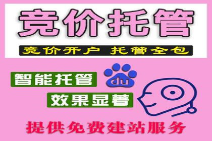 案例展示：托管竞价SEM助力企业实现业绩增长